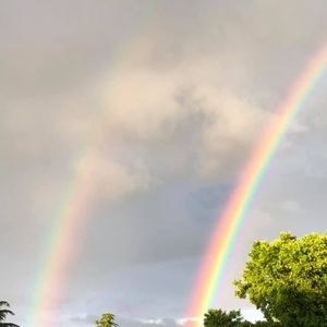 Meet your Posher, Jane